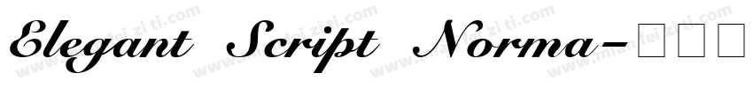 Elegant Script Norma字体转换